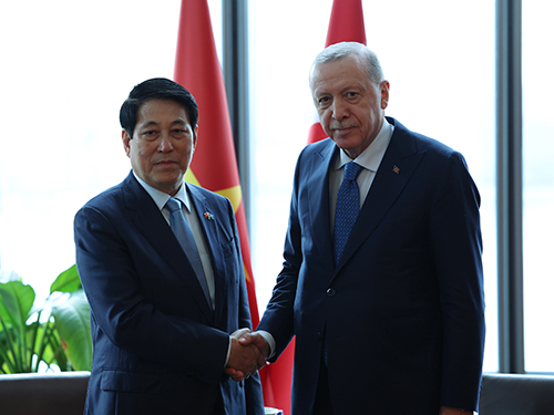 President Erdoğan meets with Vietnamese President Luong Cuong